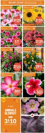 Lakeside Garden Gallery flyer Page 2