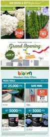 Lakeside Garden Gallery flyer Page 4