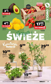 Netto gazetka tydzień 24 Strona 7