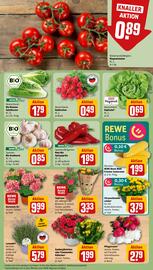 REWE Prospekt woche 24 Seite 5