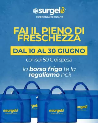 Volantino Surgelè