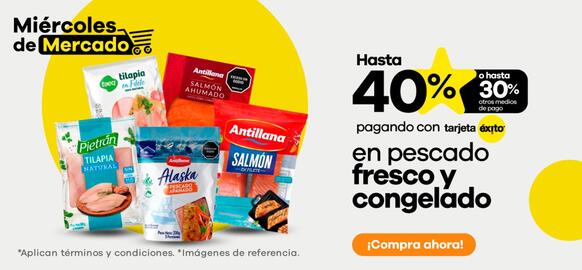 Catálogo Éxito Página 5