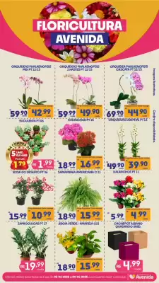 Catálogo Supermercados Avenida