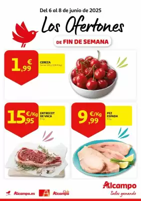 Folleto Alcampo (válido hasta el 8-06)