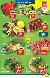 Lidl Flugblatt woche 24 Seite 14