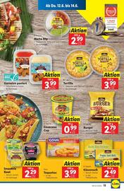 Lidl Flugblatt woche 24 Seite 16