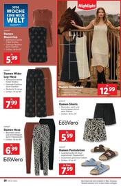 Lidl Flugblatt woche 24 Seite 31