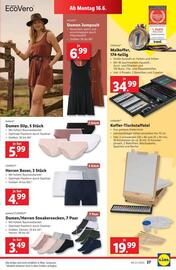 Lidl Flugblatt woche 24 Seite 32