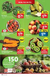 Lidl Flugblatt woche 24 Seite 41
