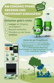 Lidl Flugblatt woche 24 Seite 48