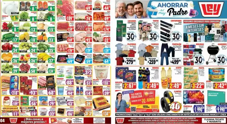 Catálogo Casa Ley (válido hasta 9-06)