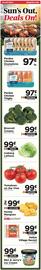 ShopRite Weekly Ad week 23 Page 2