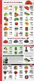 ShopRite Weekly Ad week 23 Page 7