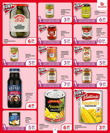 Selgros gazetka Strona 13