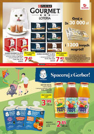 Selgros gazetka Strona 13