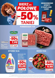 Kaufland gazetka Strona 22
