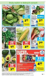 Carrefour gazetka tydzień 24 Strona 13