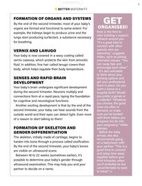 Baby City catalogue Page 6