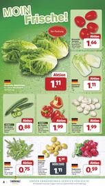 Famila Nord West Prospekt Seite 4