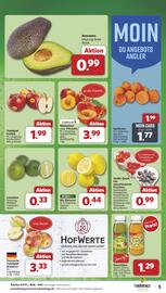 Famila Nord West Prospekt Seite 5
