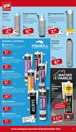 Sonderpreis Baumarkt Prospekt woche 24 Seite 17