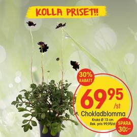 EKO reklamblad vecka 23 Sida 1