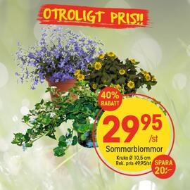 EKO reklamblad vecka 23 Sida 3