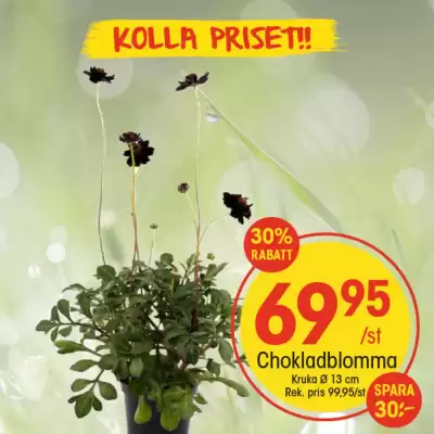 EKO reklamblad
