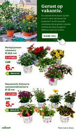 Welkoop folder Pagina 11