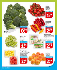 Hoogvliet folder week 24 Pagina 10