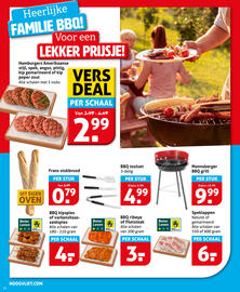 Hoogvliet folder week 24 Pagina 14