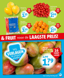 Hoogvliet folder week 24 Pagina 3