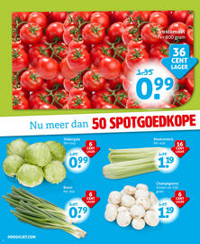Hoogvliet folder week 24 Pagina 4