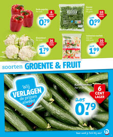 Hoogvliet folder week 24 Pagina 5