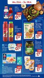 Aldi Süd Prospekt woche 26 Seite 13