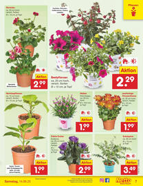 Netto Marken-Discount Prospekt Seite 7