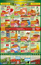 Norma Prospekt woche 25 Seite 13