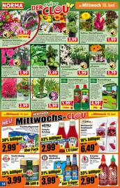 Norma Prospekt woche 25 Seite 15