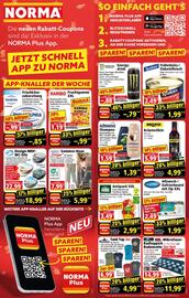 Norma Prospekt woche 25 Seite 2