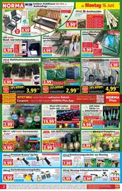 Norma Prospekt woche 25 Seite 3
