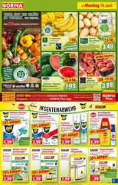 Norma Prospekt woche 25 Seite 8