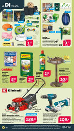 NETTO Prospekt Seite 25
