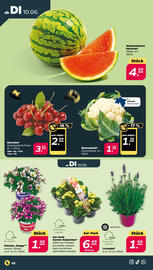 NETTO Prospekt Seite 3