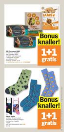 Albert Heijn folder week 24 Pagina 29