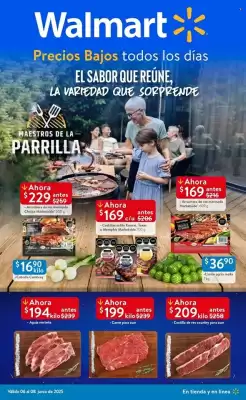 Catálogo Walmart
