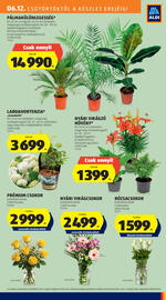 ALDI akciós újság hét 24 Oldal 29