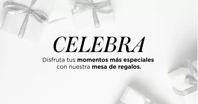 Catálogo Palacio de Hierro (válido hasta 15-06)