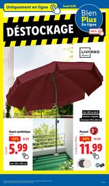 Catalogue Lidl page 41