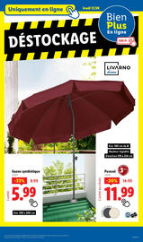 Catalogue Lidl page 41