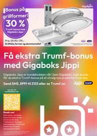 Gigaboks Kundeavis Side 8